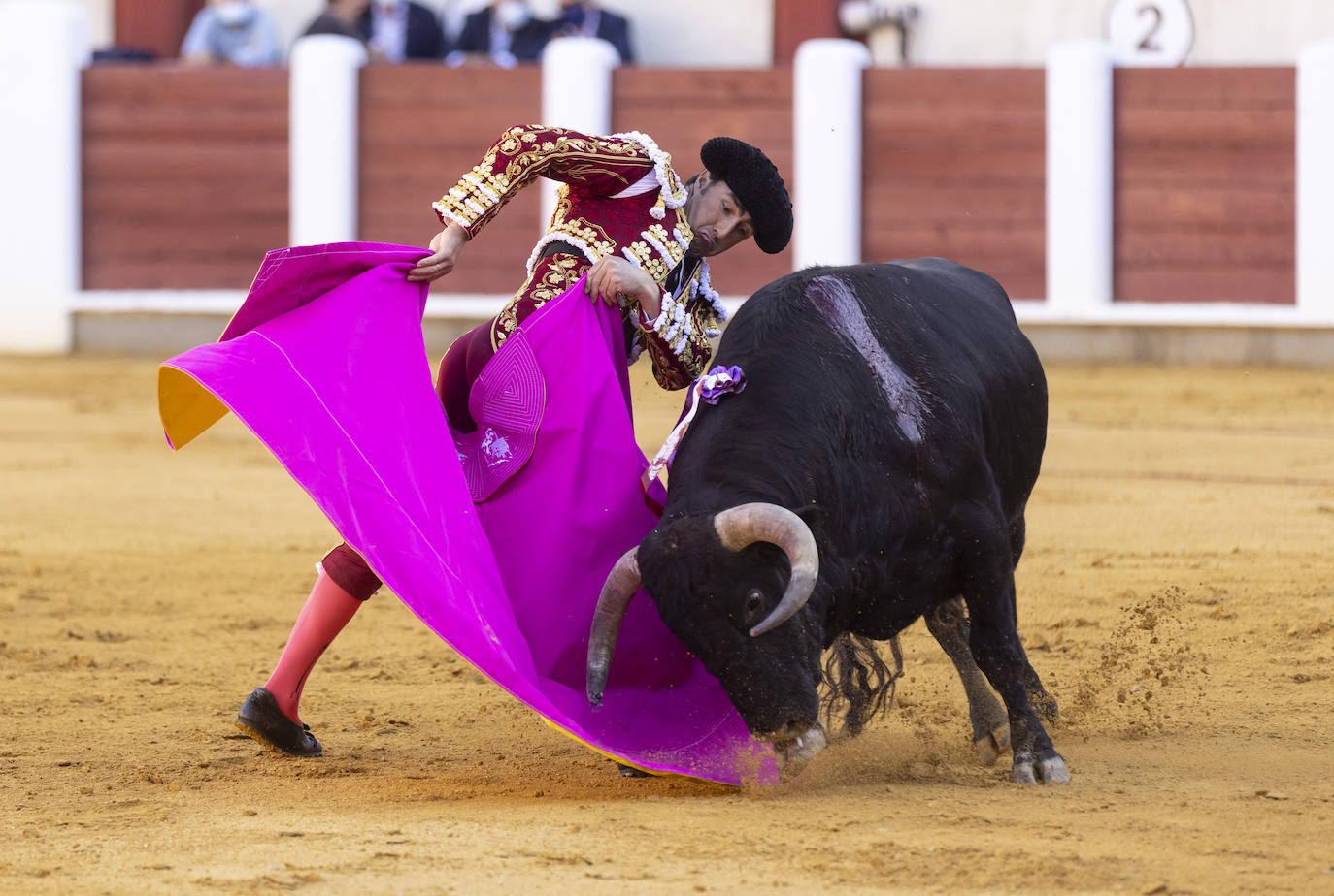 Primera corrida de la Feria Taurina de Valladolid.