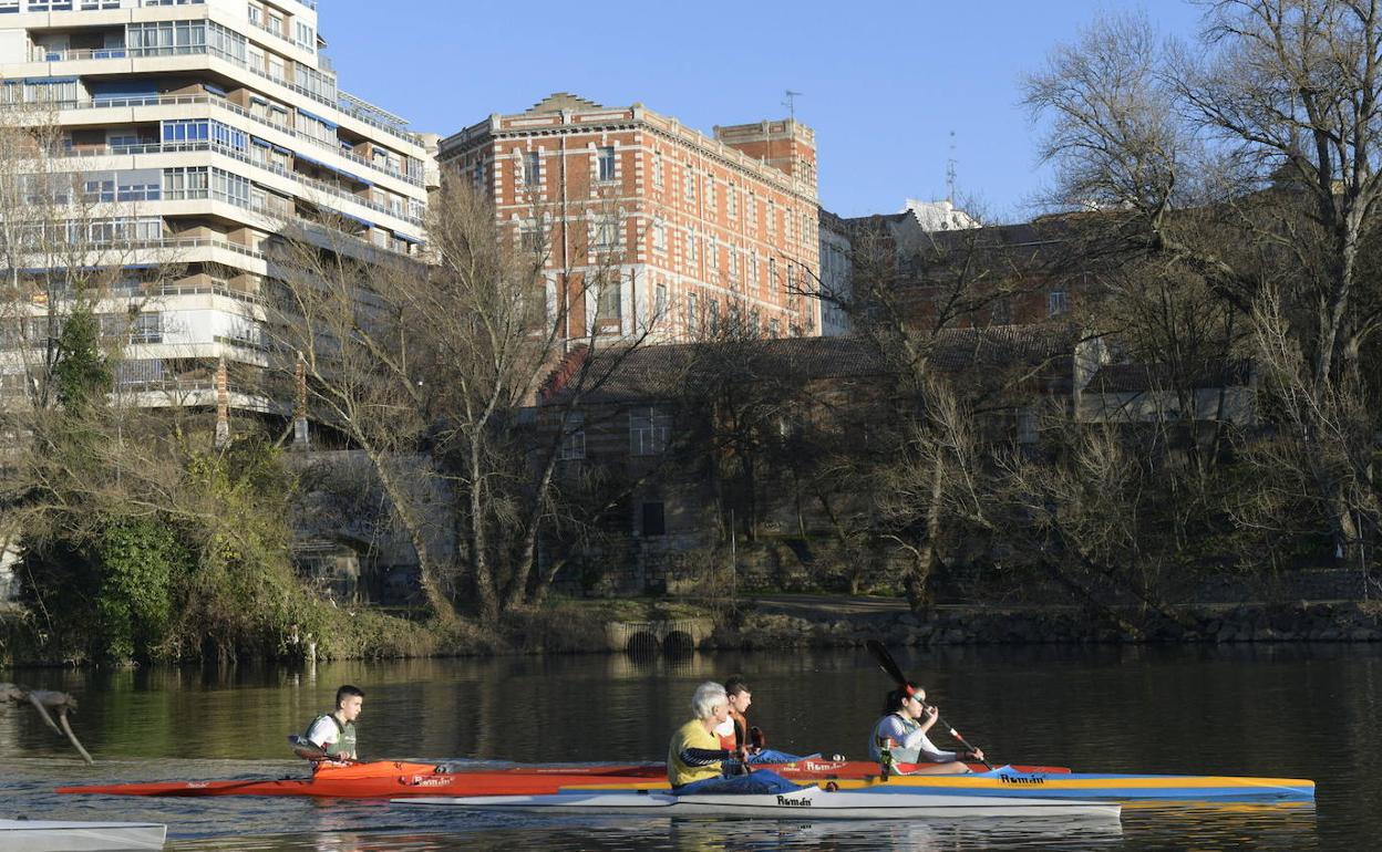 Varios piragüistas reman por aguas del Pisuerga. 