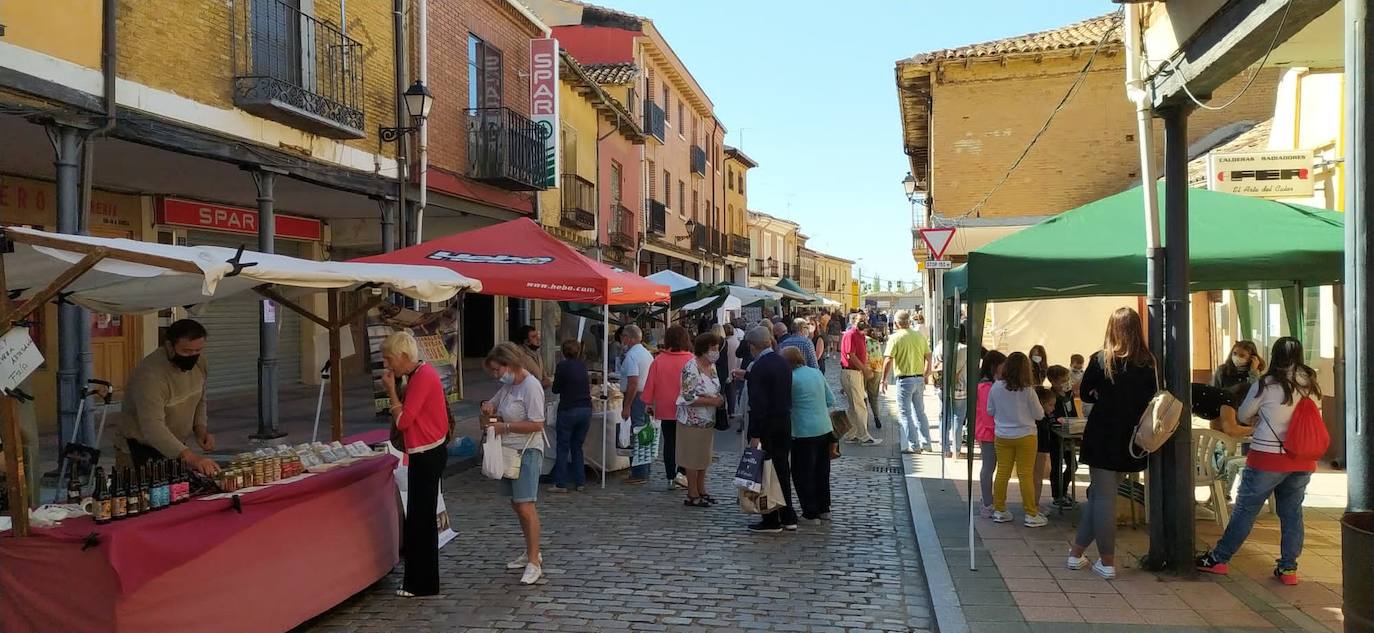 Mercado del Queso de Villalón de Campos.