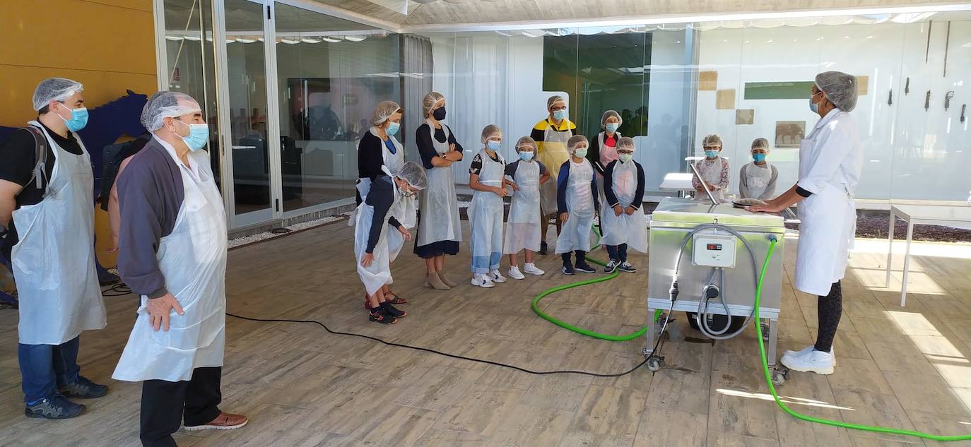 Mercado del Queso de Villalón de Campos.