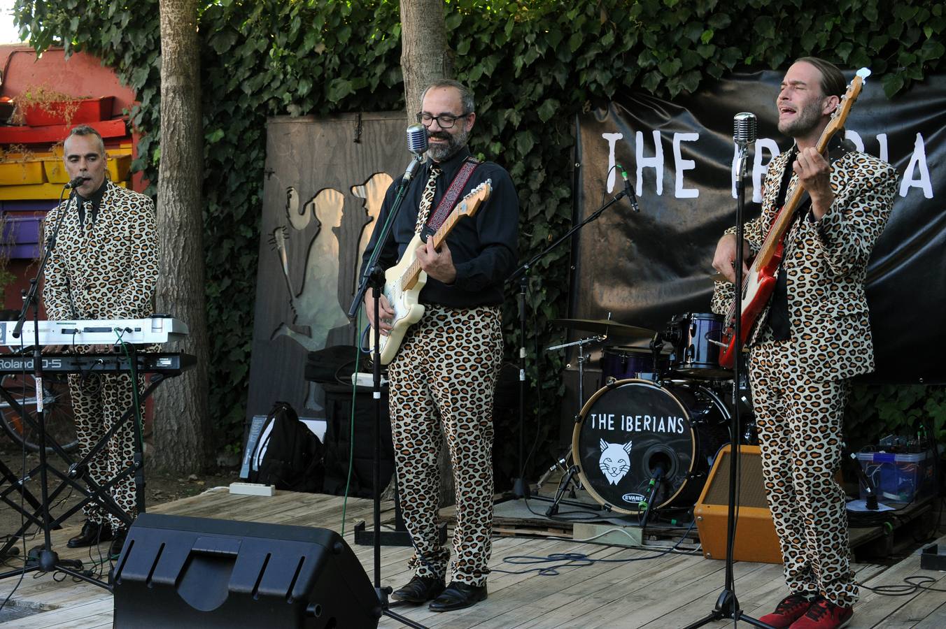 Fotos: Actuación de The Iberians en la terraza &#039;Los Guindales&#039; de Santovenia de Pisuerga