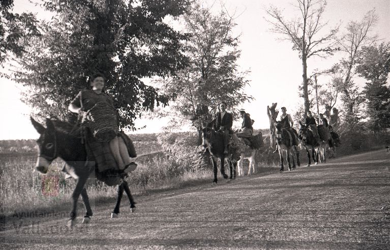 Fotos: La vendimia en Rueda y Nava del Rey en los años 50