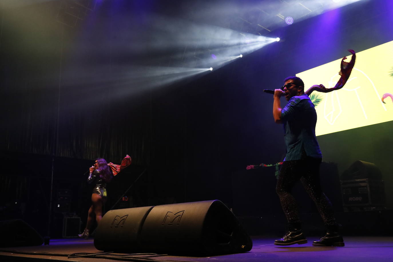 Fotos: Concierto de Ladilla Rusa en la Gran Fiesta de la Vendimia de la Ribera del Duero