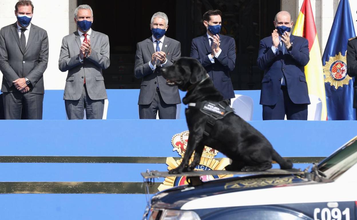 El ministro Marlaska y otras autoridades presiden el desfile de la Policía Nacional. 