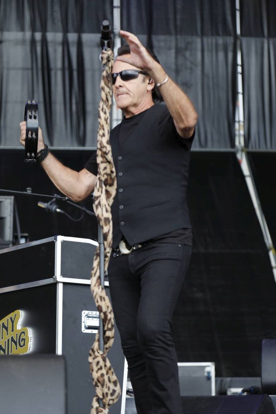 Fotos: Concierto de Johny Burning en la IV Gran Fiesta de la Vendimia de Ribera del Duero