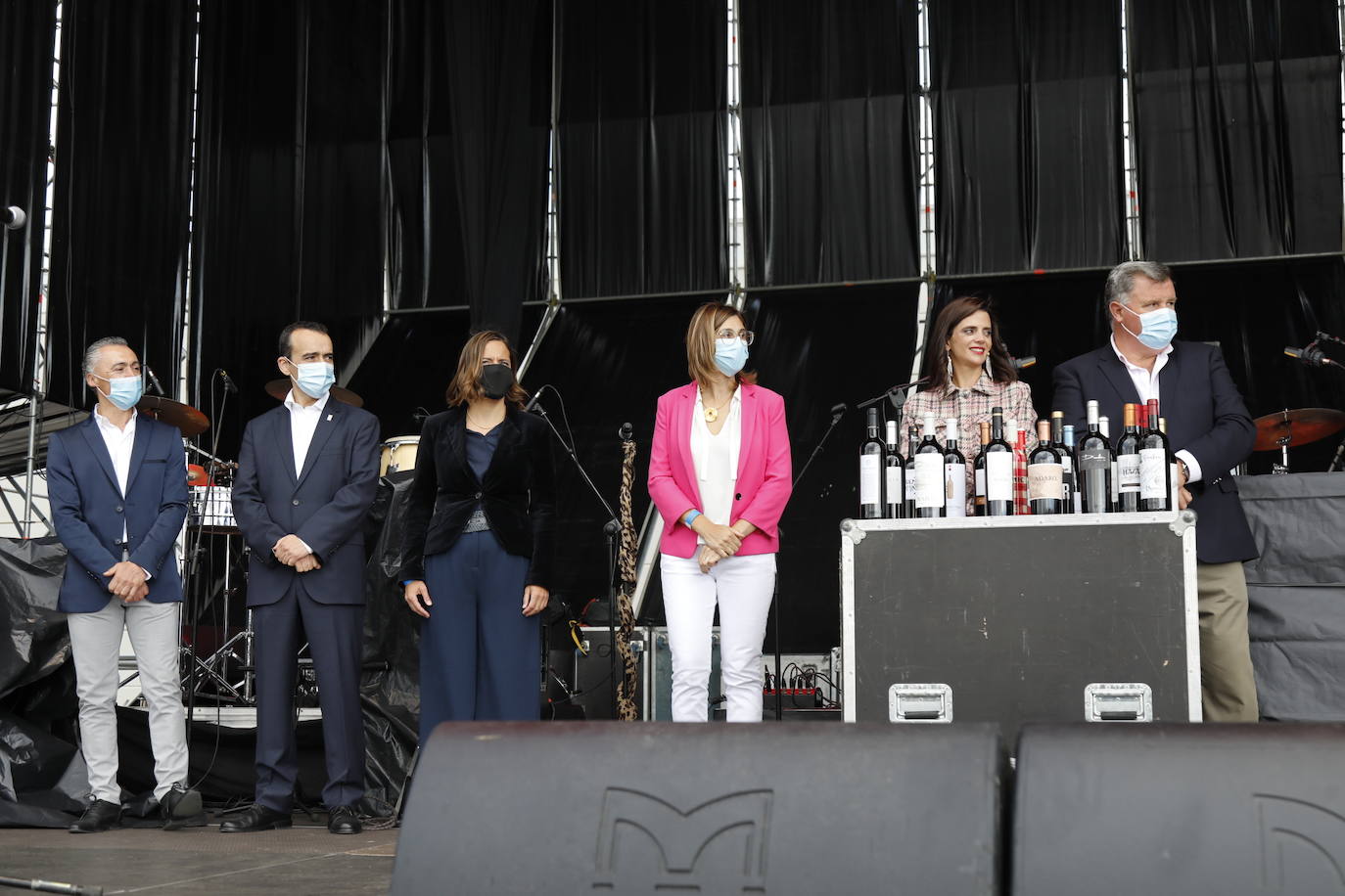 Fotos: IV Fiesta de la Vendimia de la Ribera del Duero