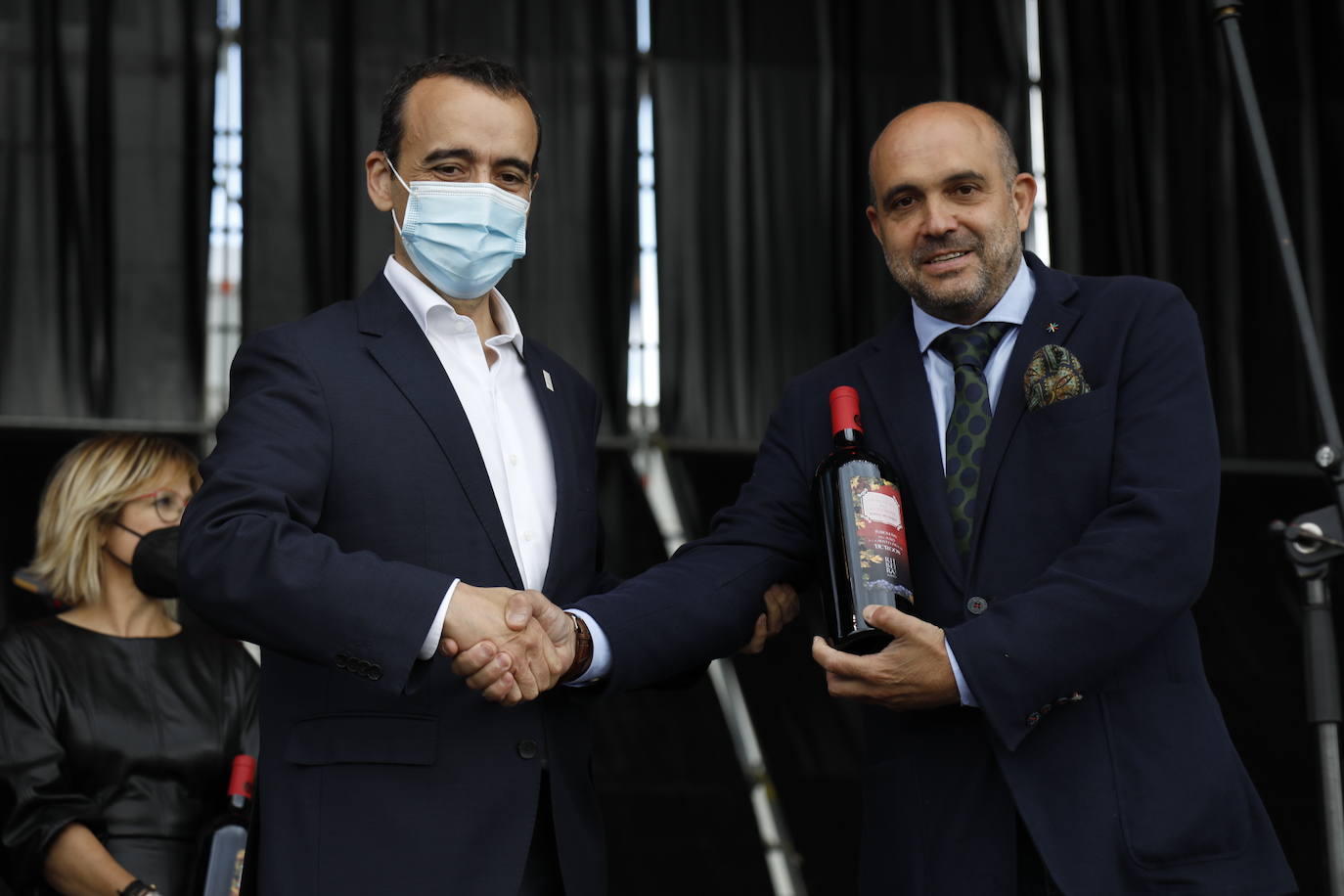 Fotos: IV Fiesta de la Vendimia de la Ribera del Duero