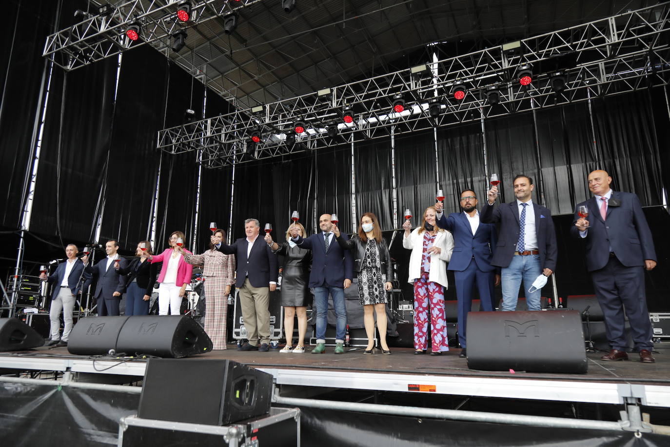 Fotos: IV Fiesta de la Vendimia de la Ribera del Duero