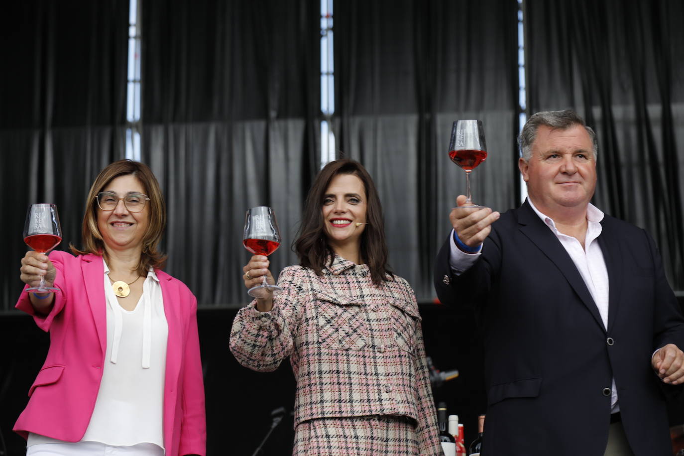 Fotos: IV Fiesta de la Vendimia de la Ribera del Duero