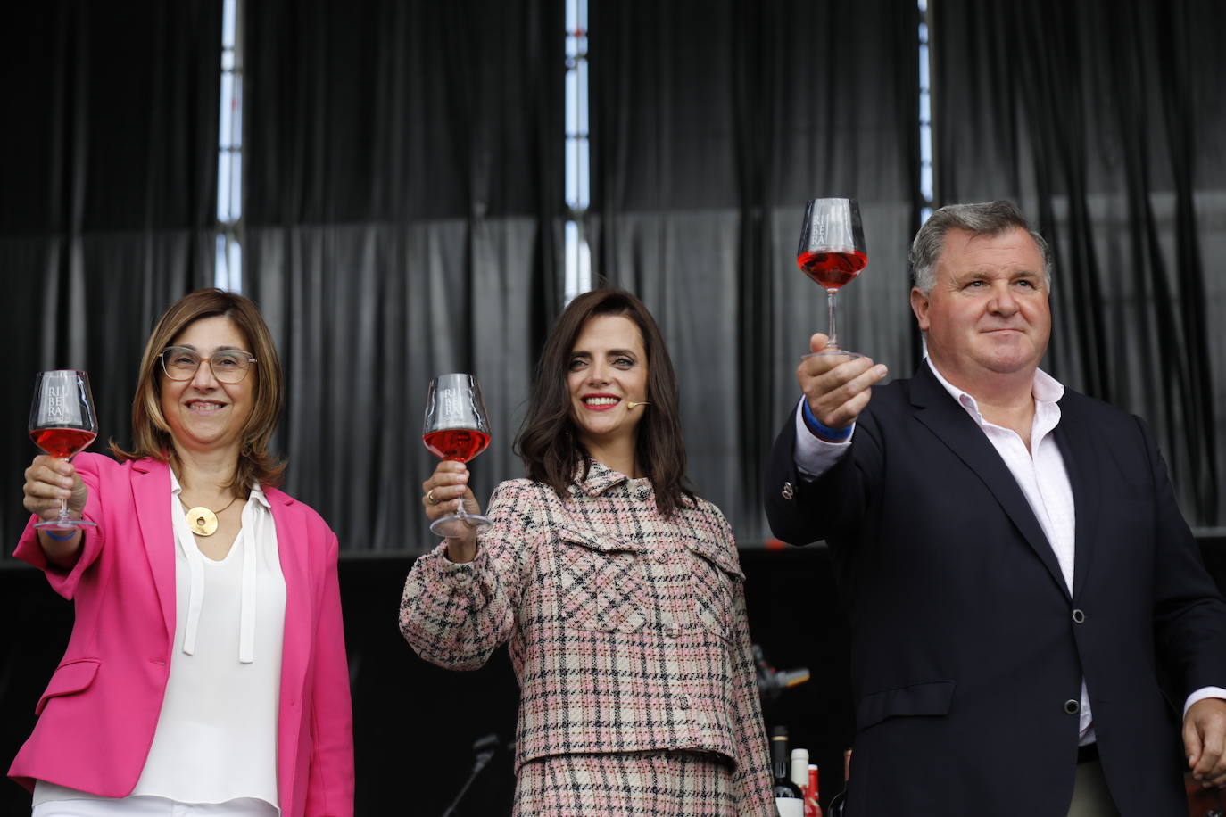 Fotos: IV Fiesta de la Vendimia de la Ribera del Duero