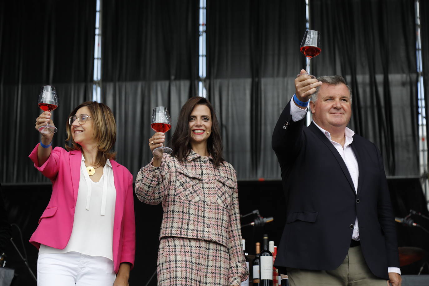 Fotos: IV Fiesta de la Vendimia de la Ribera del Duero