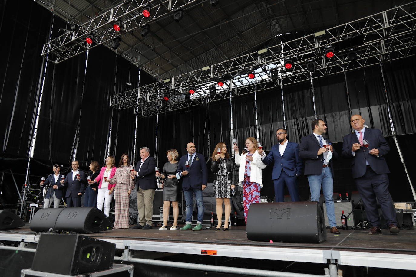 Fotos: IV Fiesta de la Vendimia de la Ribera del Duero