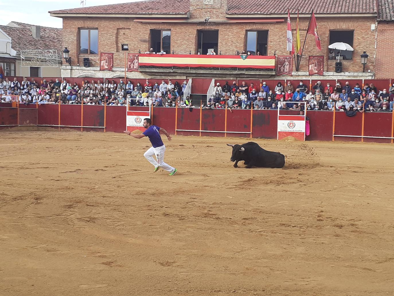 Fotos: Concurso de cortes Villa de Mayorga