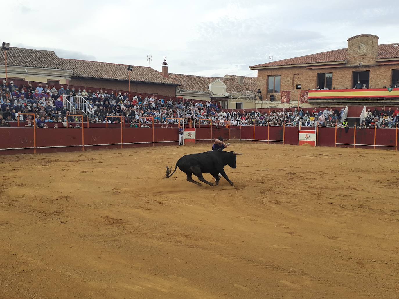 Fotos: Concurso de cortes Villa de Mayorga