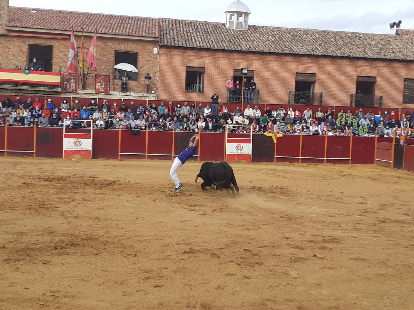 Fotos: Concurso de cortes Villa de Mayorga