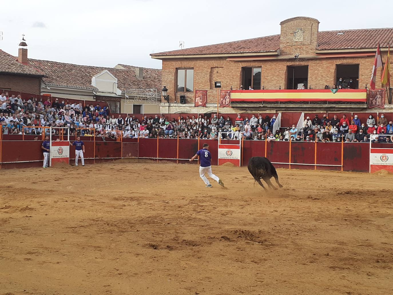 Fotos: Concurso de cortes Villa de Mayorga