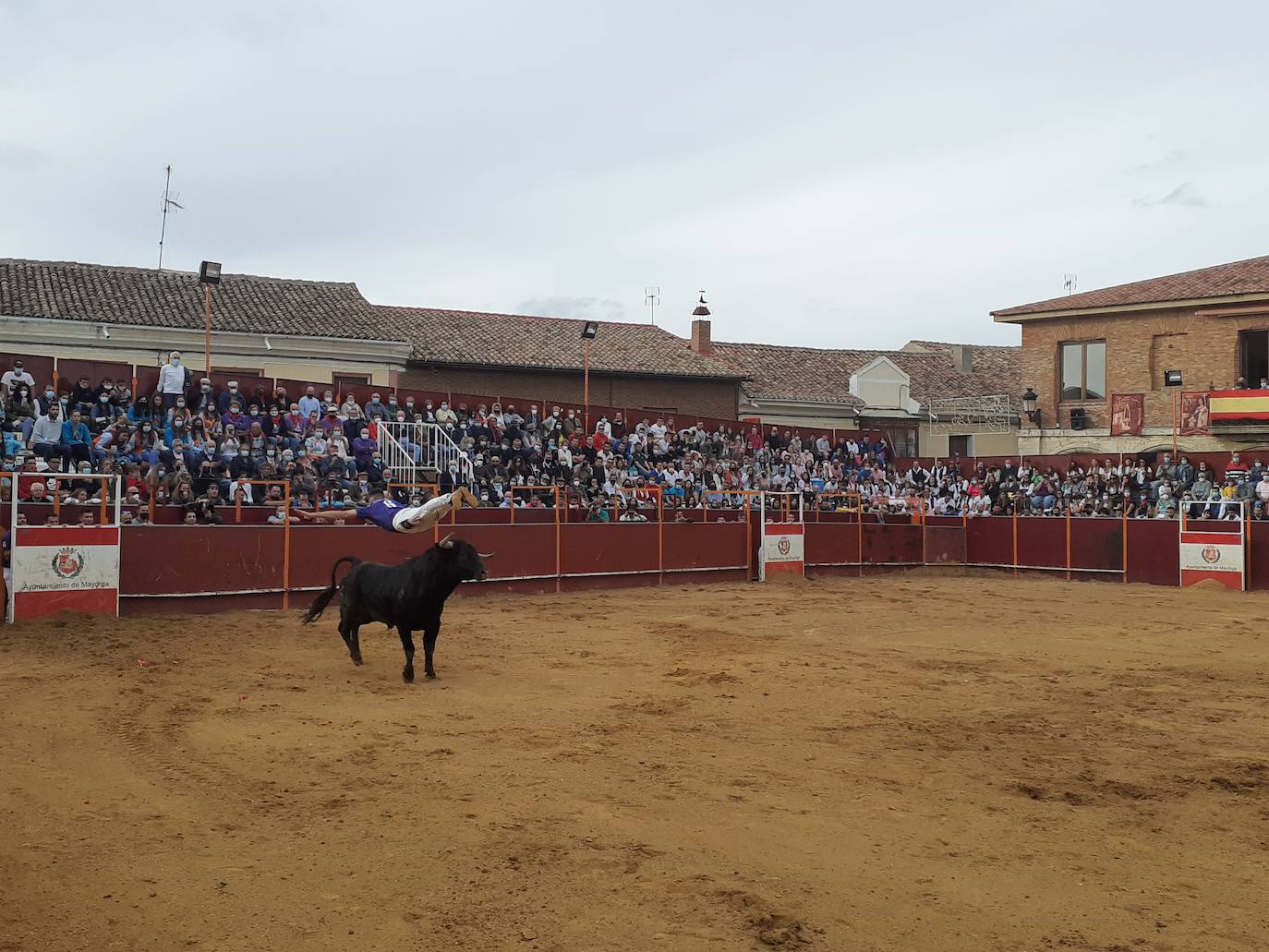 Fotos: Concurso de cortes Villa de Mayorga