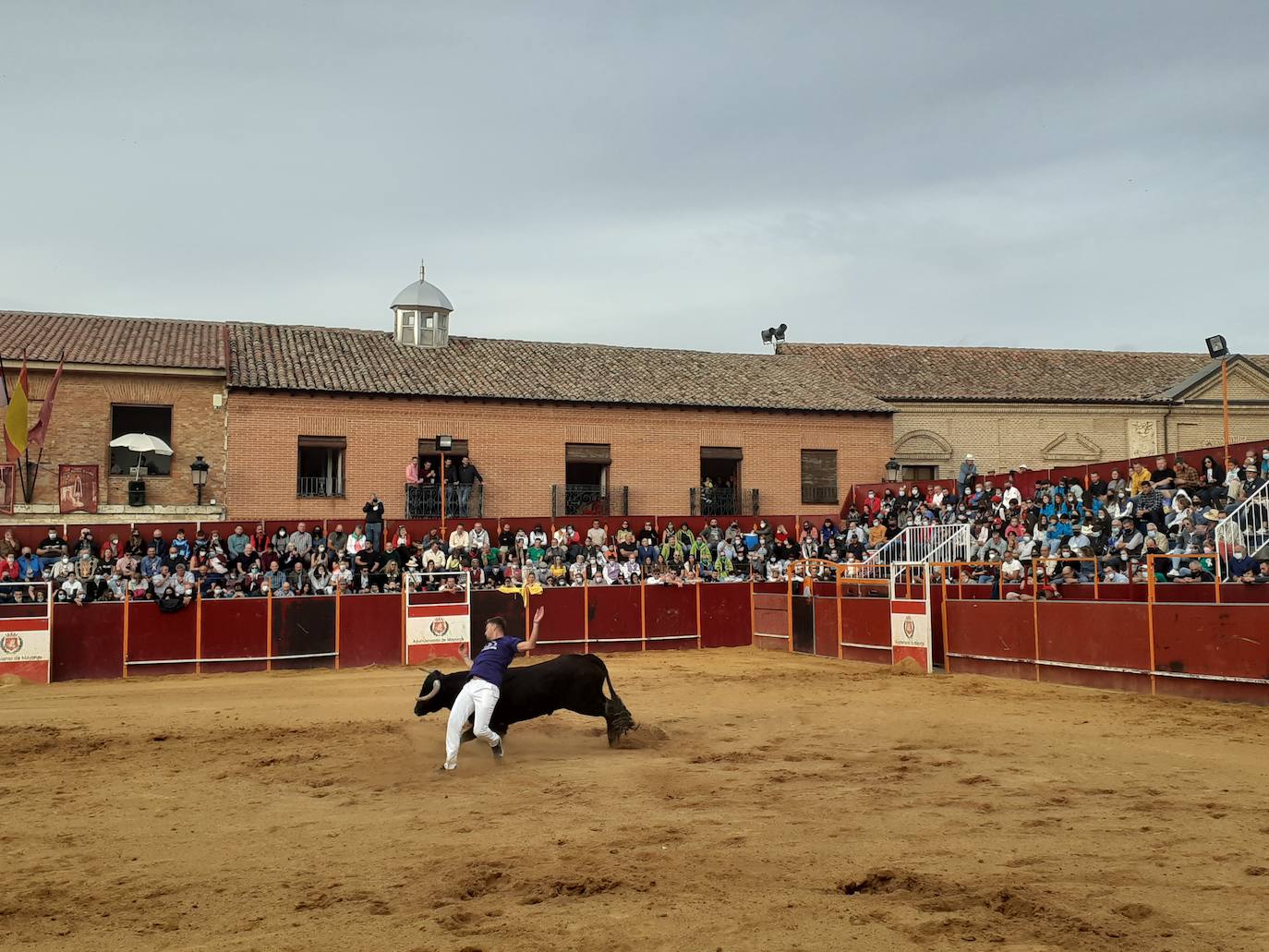 Fotos: Concurso de cortes Villa de Mayorga