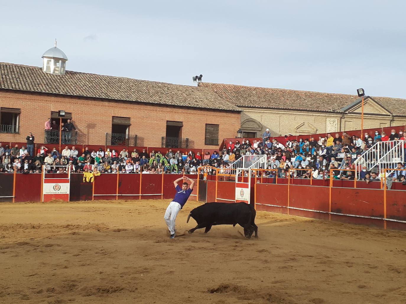 Fotos: Concurso de cortes Villa de Mayorga