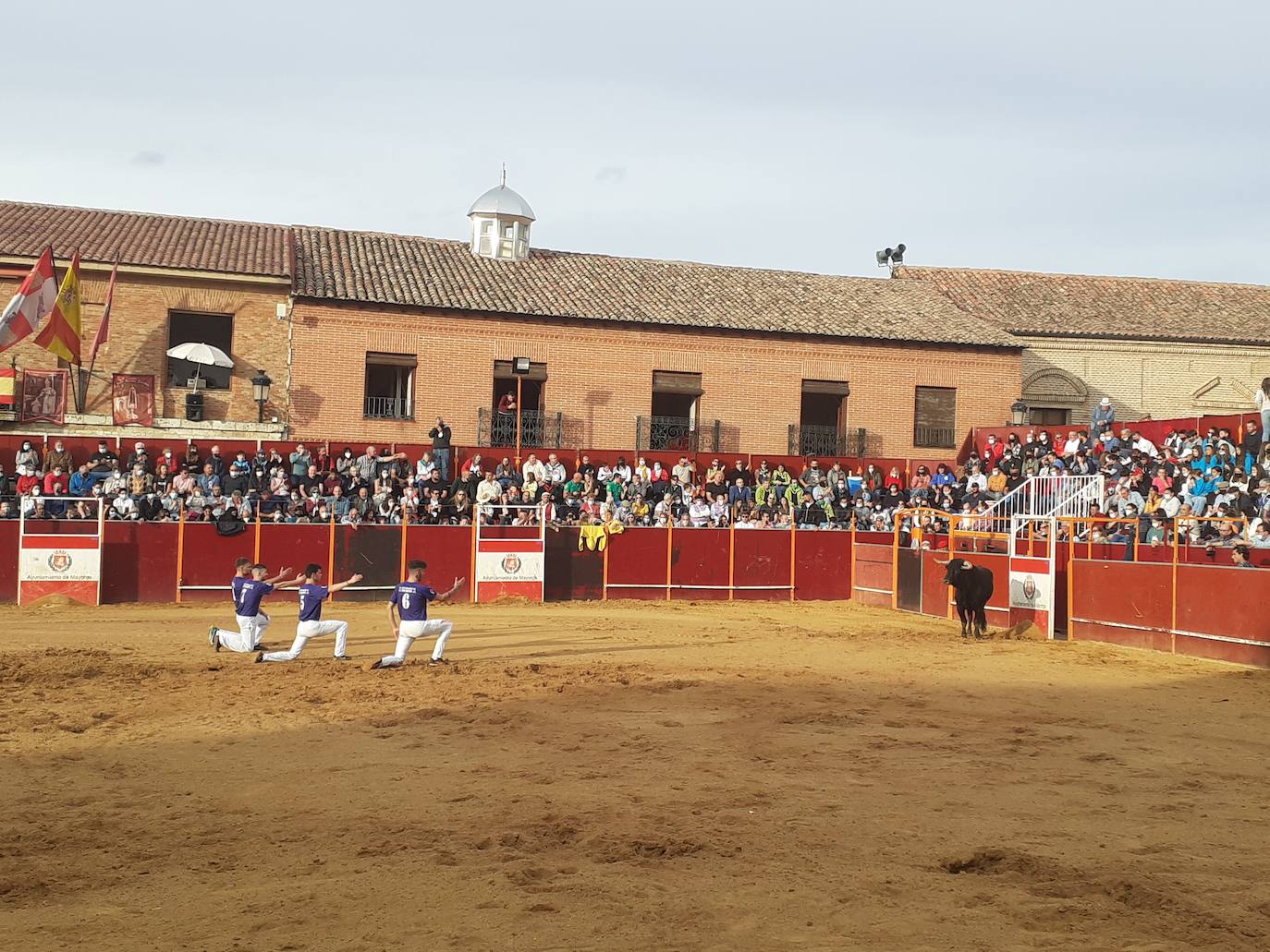 Fotos: Concurso de cortes Villa de Mayorga