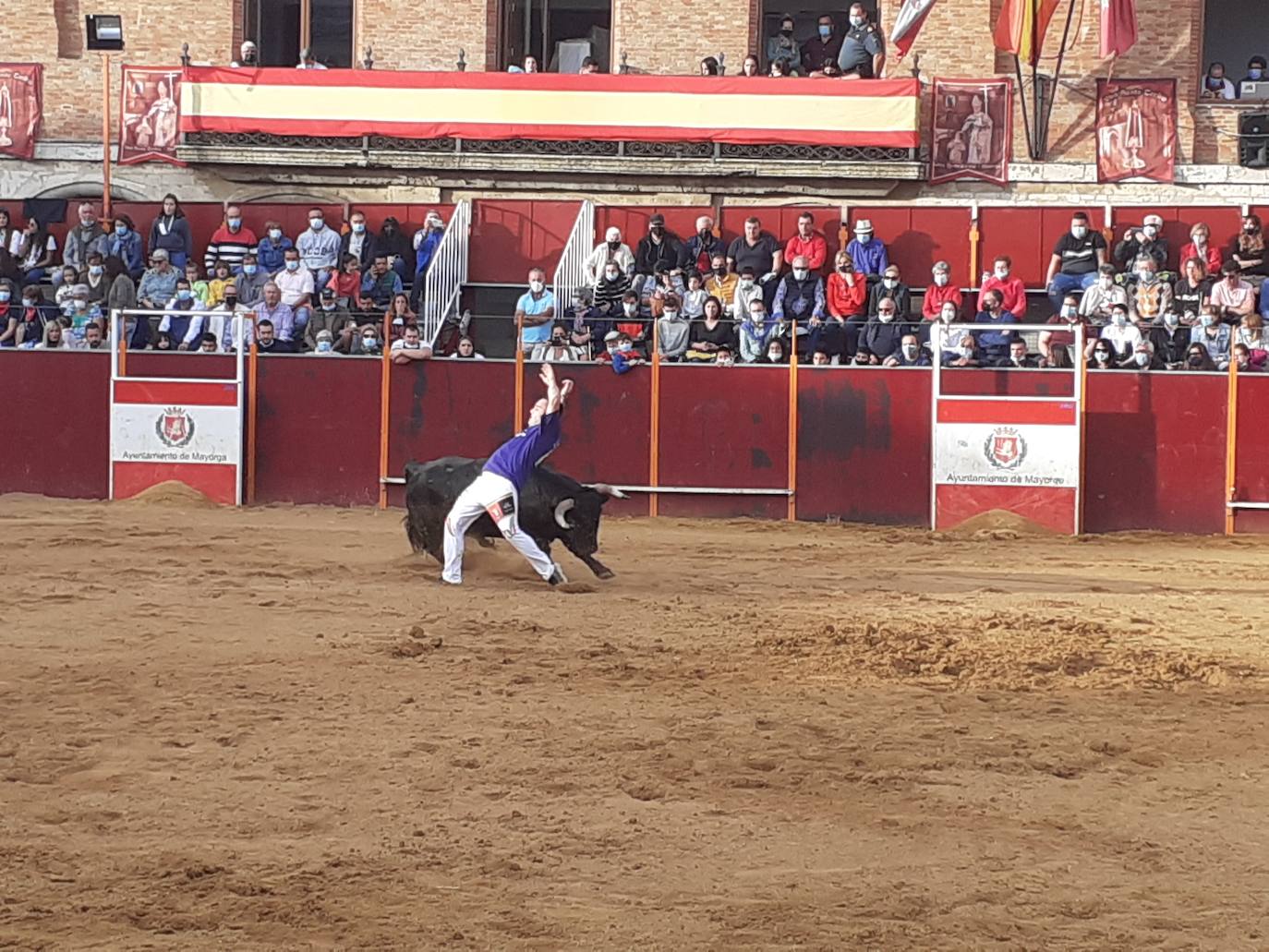 Fotos: Concurso de cortes Villa de Mayorga