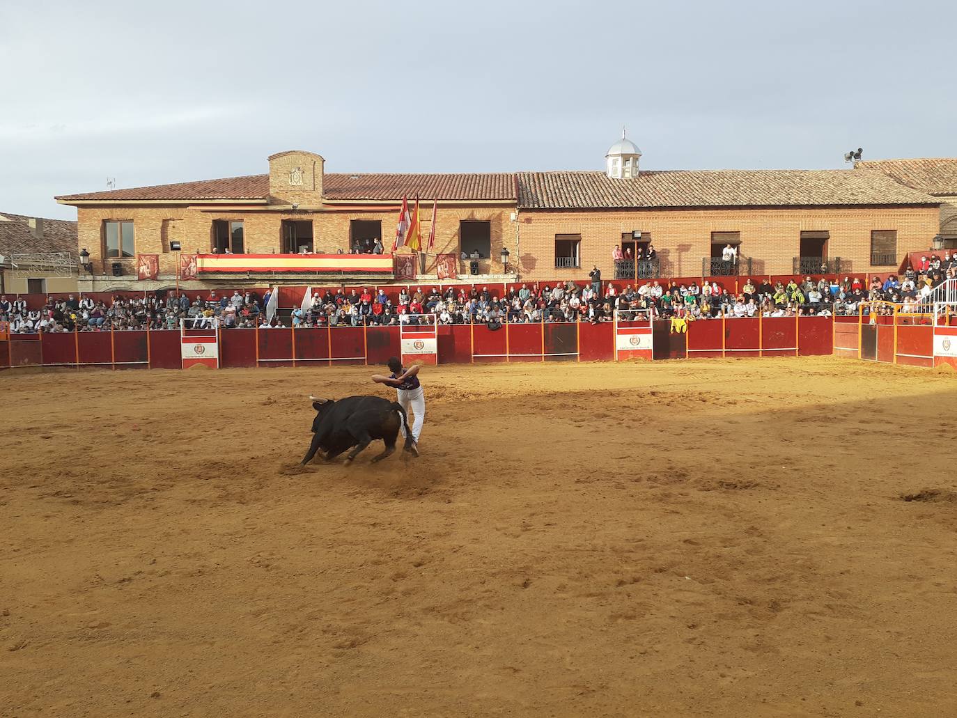 Fotos: Concurso de cortes Villa de Mayorga