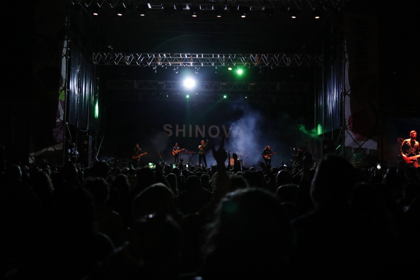 Fotos: Concierto de Shinova en la IV Gran Fiesta de la Vendimia de Ribera del Duero