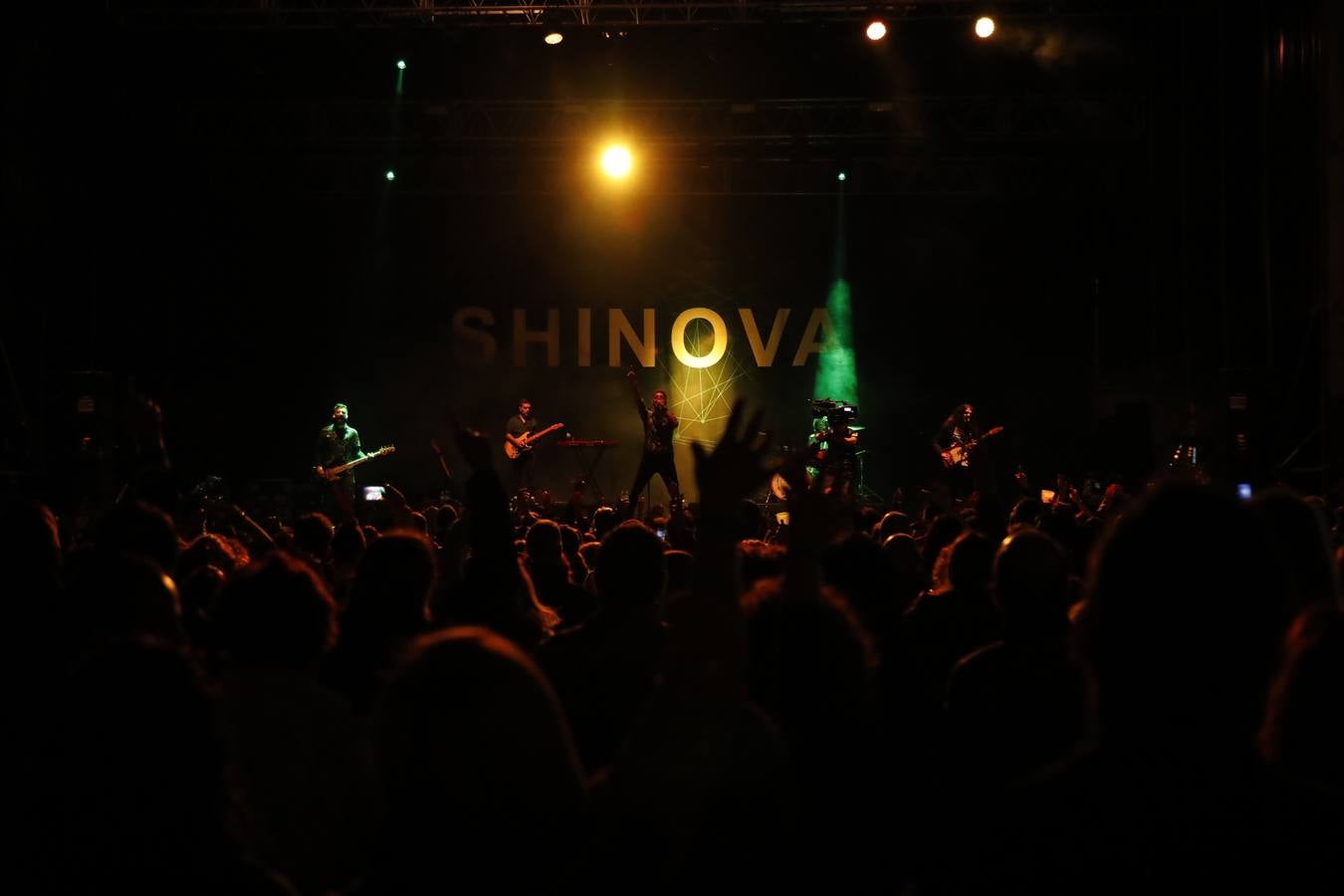 Fotos: Concierto de Shinova en la IV Gran Fiesta de la Vendimia de Ribera del Duero