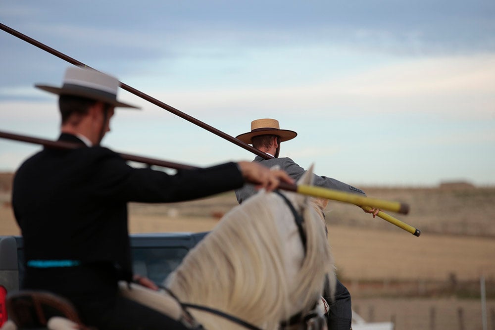 Flamenco entre caballos para ambientar la V Feria Agroalimentaria de Galinduste