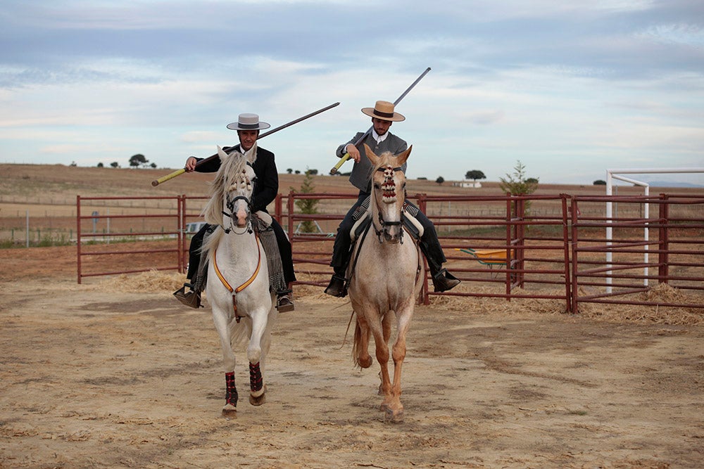 Flamenco entre caballos para ambientar la V Feria Agroalimentaria de Galinduste