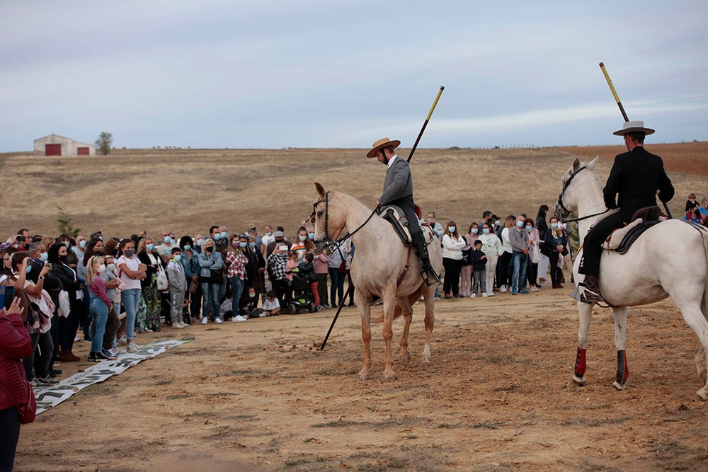 Flamenco entre caballos para ambientar la V Feria Agroalimentaria de Galinduste