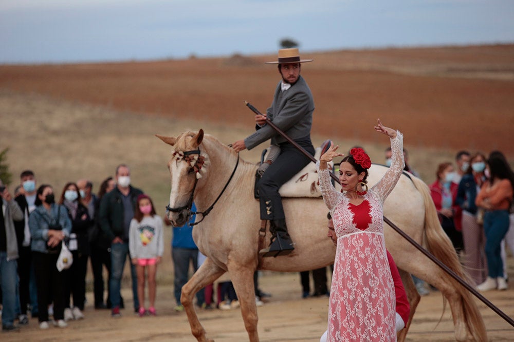 Flamenco entre caballos para ambientar la V Feria Agroalimentaria de Galinduste