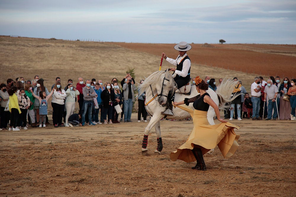 Flamenco entre caballos para ambientar la V Feria Agroalimentaria de Galinduste