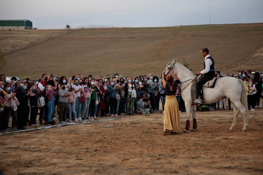 Flamenco entre caballos para ambientar la V Feria Agroalimentaria de Galinduste