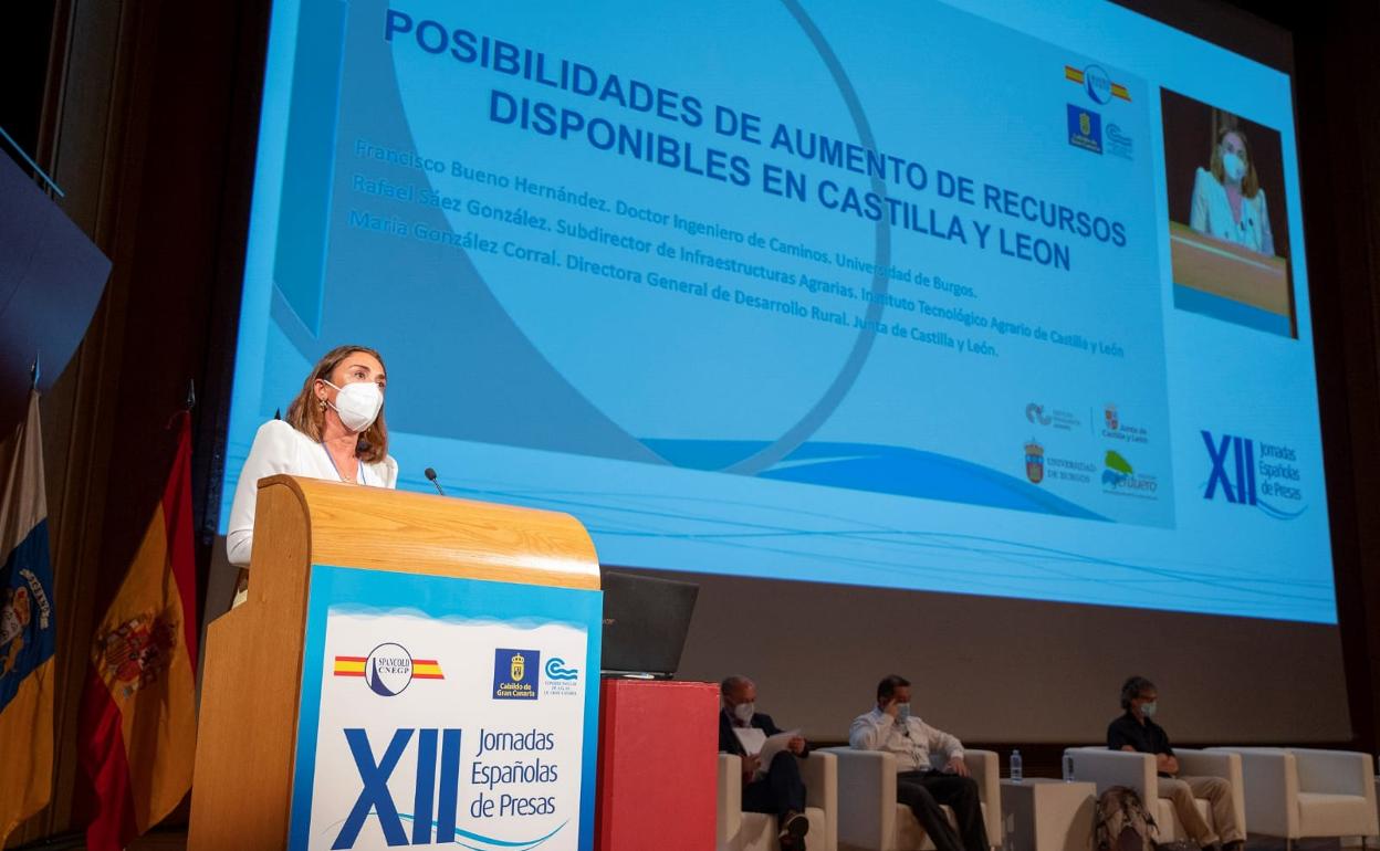 La directora general de Desarrollo Rural, María González, durante su intervención en el Comité Nacional Español de Grandes Presas. 