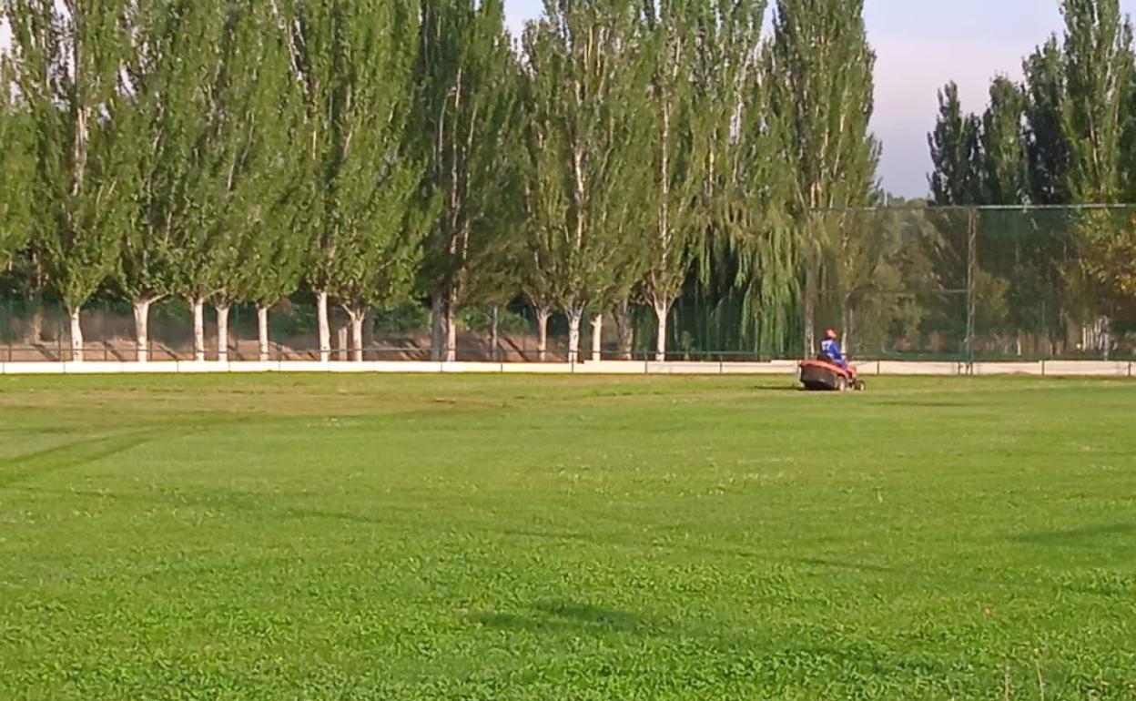 Trabajos de jardinería en Alba de Tormes. 