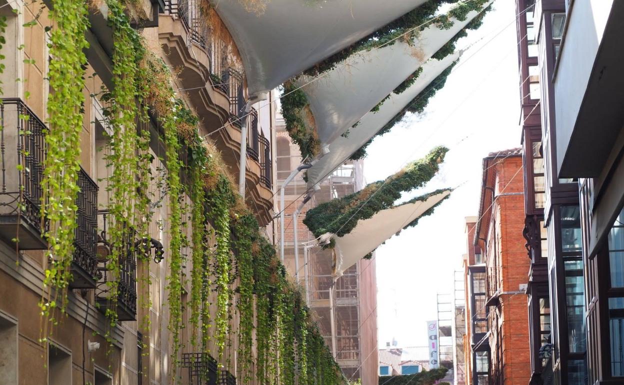 Diseño de toldos vegetales en la calle Santa María dentro del proyecto URBAN GreenUp