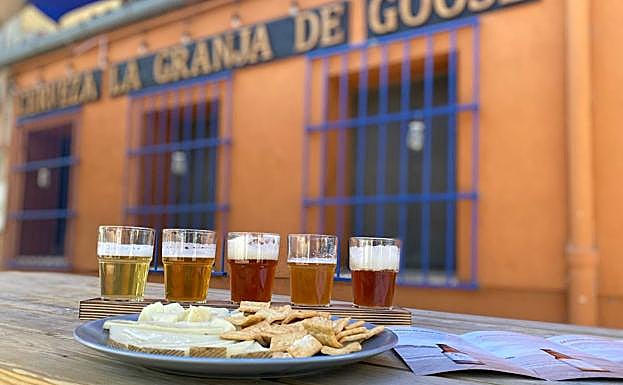 Desde ginebras a cervezas artesanas, todo es Tierra de Sabor