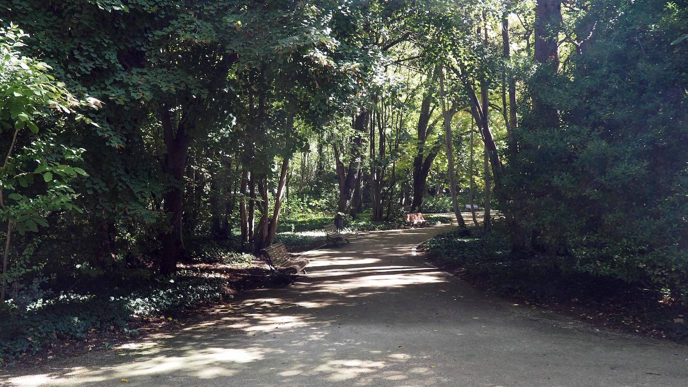 Detalles de una de las zonas del Campo Grande de Valladolid