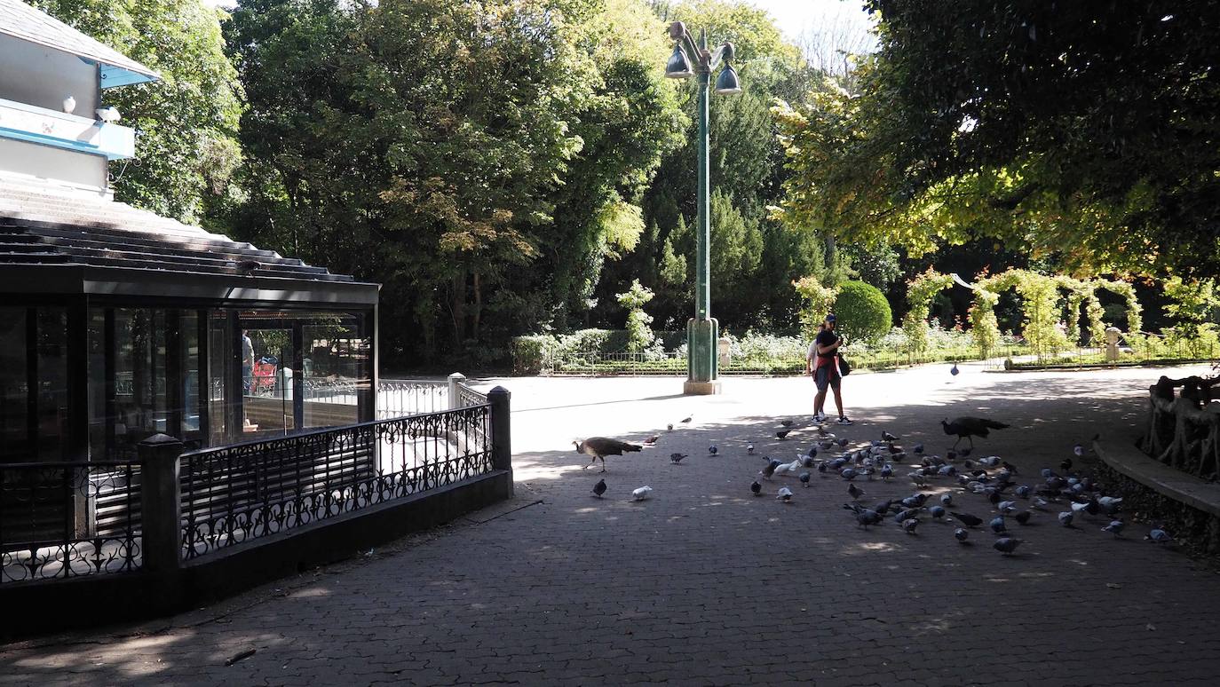 Detalles de una de las zonas del Campo Grande de Valladolid