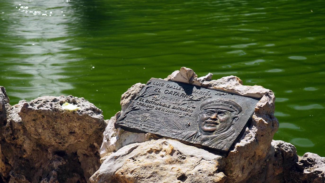 Detalles de una de las zonas del Campo Grande de Valladolid