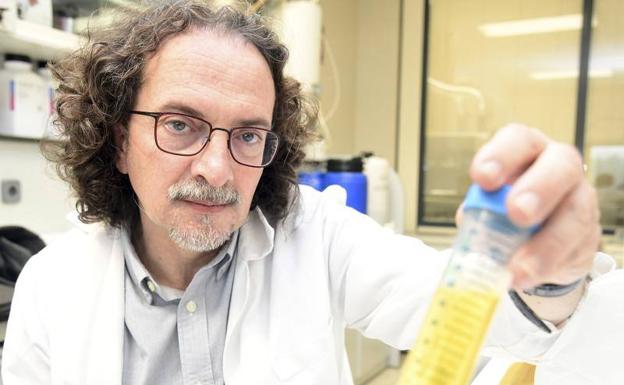 Carlos Rad, en su laboratorio de la Univerdidad de Burgos.