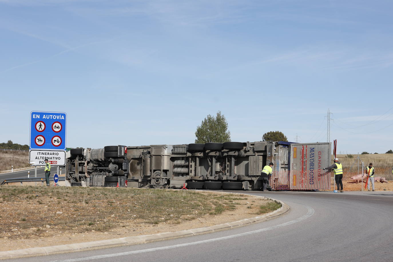 Fotos: Vuelco de un camión que transportaba cerdos en la N-122