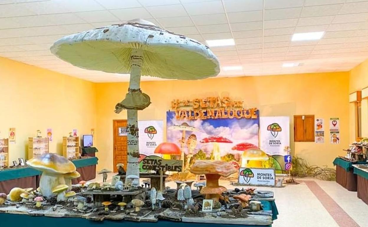 Exposición de Montes de Soria