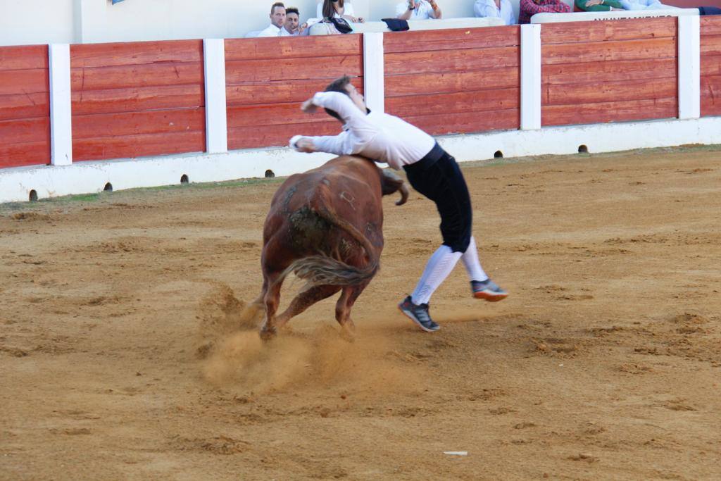 Uno de los ajustados cortes que se pudieron ver en el coso de Olmedo. 