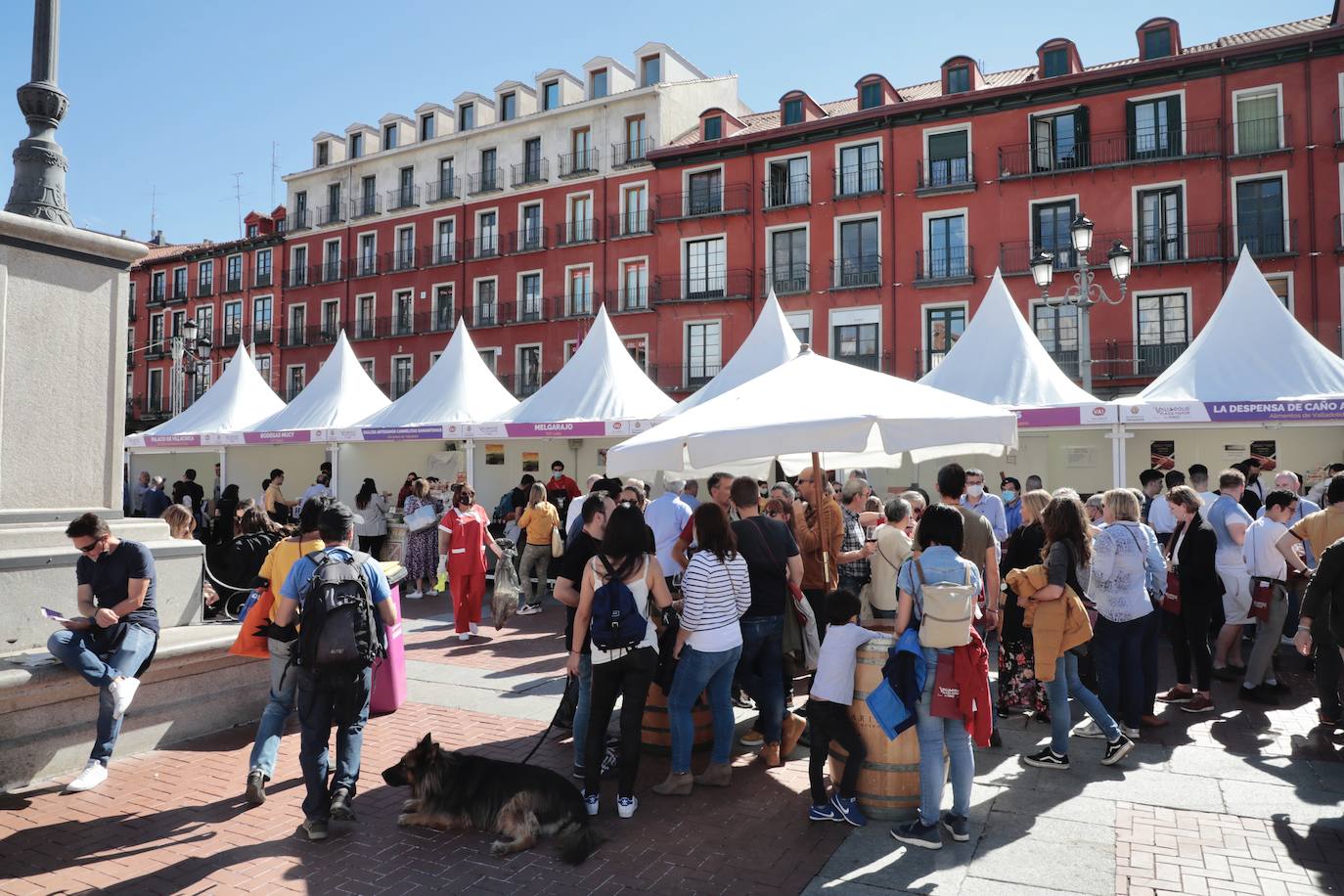 Tercera edición de la Plaza Mayor del Vino en Valladolid. 