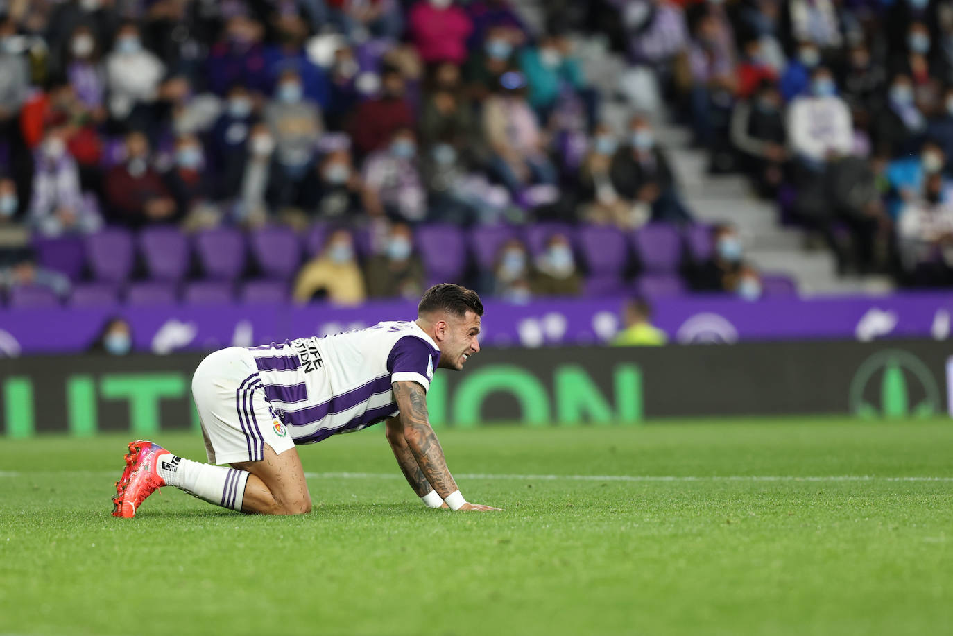 Fotos: Real Valladolid 1 - 1 Málaga