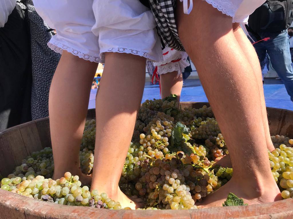 Fiesta de la vendimia, en Rueda. 