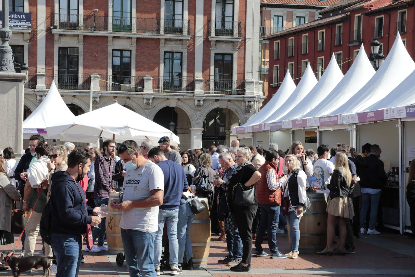 Fotos: Ambientazo durante la jornada del domingo en el evento &#039;Valladolid. Plaza Mayor del Vino&#039;