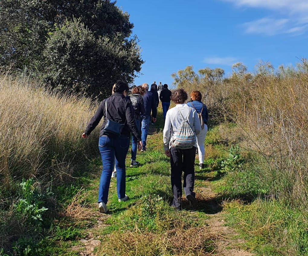 Fotos: Visita guiada a viñedos de Toro en el contexto del evento &#039;Valladolid. Plaza Mayor del vino&#039;